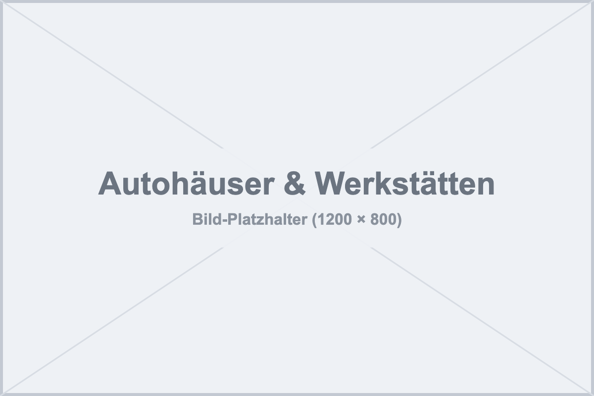 Autohäuser & Werkstätten