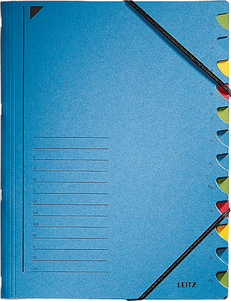 Ordnungsmappe LEITZ 3912, 12 Fächer, DIN A4, blau