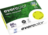 Kopierpapier Clairefontaine EVERCOLOR, DIN A4, 80...