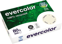 Kopierpapier Clairefontaine EVERCOLOR, DIN A4, 80...