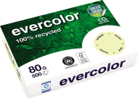 Kopierpapier Clairefontaine EVERCOLOR, DIN A4, 80...