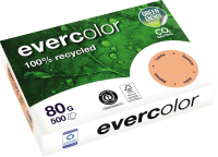 Kopierpapier Clairefontaine EVERCOLOR, DIN A4, 80...