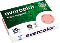 Kopierpapier Clairefontaine EVERCOLOR, DIN A4, 80...