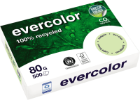 Kopierpapier Clairefontaine EVERCOLOR, DIN A4, 80...