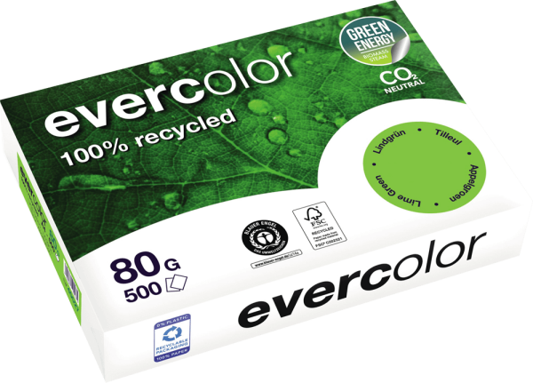Kopierpapier Clairefontaine EVERCOLOR, DIN A4, 80 g/m², lindgrün