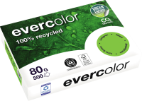 Kopierpapier Clairefontaine EVERCOLOR, DIN A4, 80...