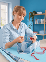 Handabroller tesa® Mini 57858, 19 mm x 10 m, rot/blau