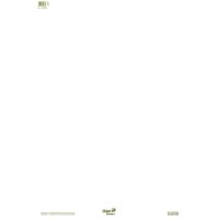 Flipchartblock Ursus Green, 68 x 99 cm, RC-Papier, 20...