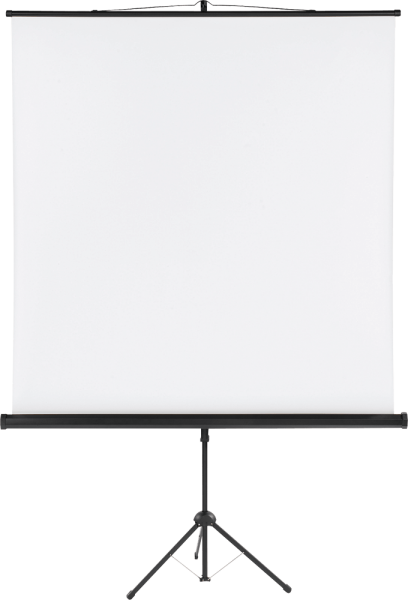 Stativleinwand Franken LWST225, 240 x 240 cm