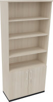 Regalschrank endless, 1.000 x 2.221 x 442 mm,...