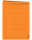 Handaktenbogen Blattsammlung, innen unbedruckt, 120 g/m² Karton, 315 x 225 mm, gelocht, orange