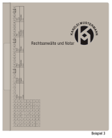 Hängehefter mit individuellem Druck, ReNo-VERTIC, 2 Abheftfalze, Tasche, grau