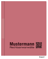 Hängehefter mit individuellem Druck, ReNo-VERTIC, 2...