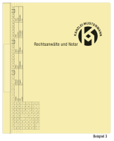 Hängehefter mit individuellem Druck, ReNo-VERTIC, 2 Abheftfalze, Tasche, hellgelb