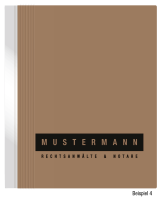 Hängehefter mit individuellem Druck, ORGA+, 2 Abheftvorrichtungen, Linksheftung, Tasche, braun