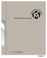 Pendelhefter mit individuellem Druck, ReNo-Serie, 2 Abheftvorrichtungen, Rechtsheftung, Tasche, grau