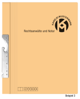 Pendelhefter mit individuellem Druck, ReNo-Serie, 2 Abheftvorrichtungen, Rechtsheftung, Tasche, chamois
