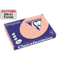 Clairefontaine Kopierpapier Trophée Color DIN A3...