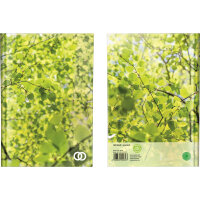 Soennecken Notizbuch DIN A5 liniert 96 Bl.