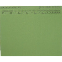 SoldanPlus Hängehefter CLASSIC DIN A4 320g/m²...