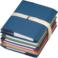 SoldanPlus Aktengurt BASIC 30 mm x 75 cm (B x L)...