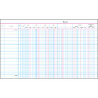 SoldanPlus Anwaltsjournal 497 x 152 mm (B x H) 50 Bl.