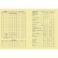 SoldanPlus Handakte 120g/m² Tauenkarton 100 St./Pack.