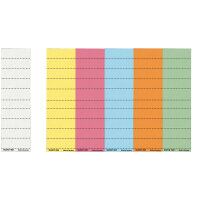Leitz Beschriftungsschild 50 x 20 mm (B x H) 80g/m²...