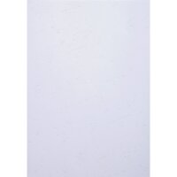 Exacompta Einbanddeckel EVERCOVER DIN A4 270g/m²...