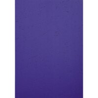 Exacompta Einbanddeckel EVERCOVER DIN A4 270g/m²...