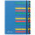 PAGNA Ordnungsmappe Deskorganizer Classic DIN A4 Pressspan Farbe: blau Farbe des Fächerblocks: mehrfarbig 24 Fächer