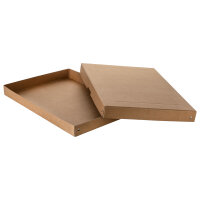 Falken Aufbewahrungsbox PureBox 32 x 4 x 44 cm (B x H x...