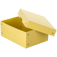 Falken Aufbewahrungsbox PureBox Pastell 18 x 10 x 25 cm...
