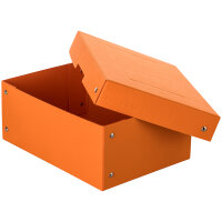 Falken Aufbewahrungsbox PureBox Pastell 18 x 10 x 25 cm...