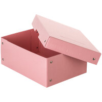 Falken Aufbewahrungsbox PureBox Pastell 18 x 10 x 25 cm...