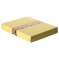 Falken Aufbewahrungsbox PureBox Pastell 24 x 4 x 32 cm (B...
