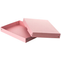 Falken Aufbewahrungsbox PureBox Pastell 24 x 4 x 32 cm (B...