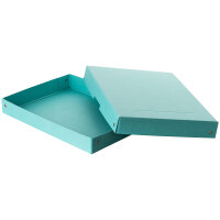 Falken Aufbewahrungsbox PureBox Pastell 24 x 4 x 32 cm (B...
