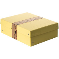 Falken Aufbewahrungsbox PureBox Pastell 24 x 10 x 32 cm...