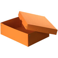 Falken Aufbewahrungsbox PureBox Pastell 24 x 10 x 32 cm...