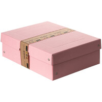 Falken Aufbewahrungsbox PureBox Pastell 24 x 10 x 32 cm...