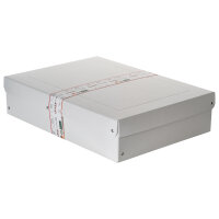 Falken Aufbewahrungsbox PureBox Pro 32 x 10 x 44 cm (B x...
