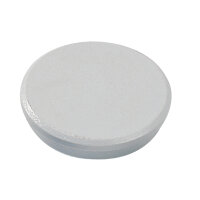 DAHLE Magnet 32mm 0,8kg grau 10 St./Pack.