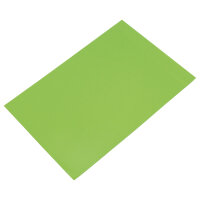 FRANKEN Magnetplatte 295 x 200 mm (B x H) hellgrün