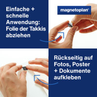 magnetoplan® Magnetplatte TAKKIS 15 x 15 mm (B x H)...