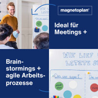 magnetoplan® Moderationskarte 19 x 11 cm (B x H) 130g/m² Offsetpapier farbig sortiert 250 St./Pack.