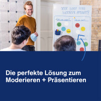 magnetoplan® Moderationskarte 19 x 11 cm (B x H) 130g/m² Offsetpapier farbig sortiert 250 St./Pack.
