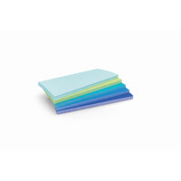 magnetoplan® Moderationskarte Sea 20 x 10 cm (B x H)...