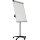 Bi-office Mobiles Flipchart Earth mit Ablageschale Sternfuß mit 5 Lenkrollen Stahl silber/schwarz