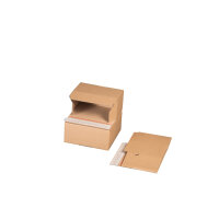 smartboxpro Versandkarton Innenmaße: 19,5 x 9,5 x 9...
